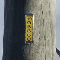 Numbers and Lettering