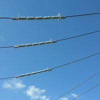 CRITTERGUARD Possum Line Guards